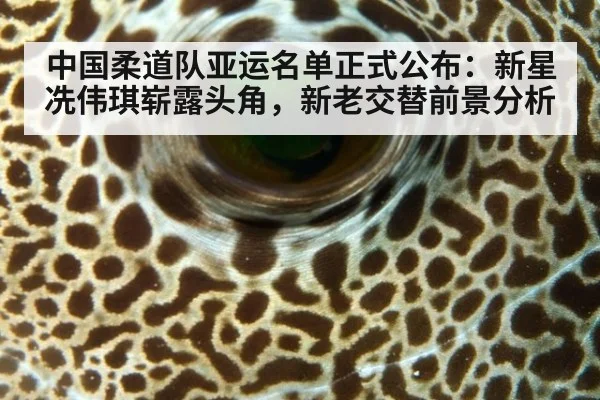 中国柔道队亚运名单正式公布:新星冼伟琪崭露头角,新老交替前景分析